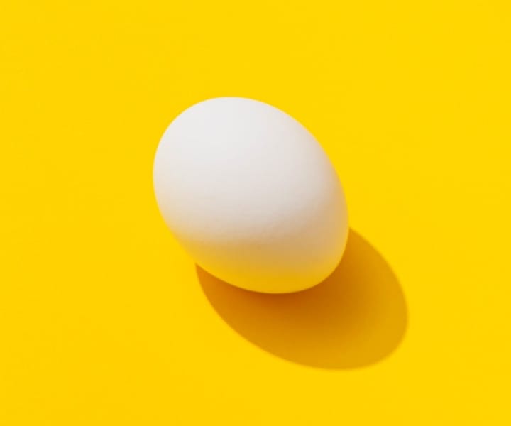 Egg picture